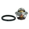 FISPA 94.288 Thermostat, coolant